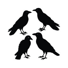 Fototapeta premium Black Crows Silhouette A Set of Four Ravens Vector Illustration for Graphic Design Use
