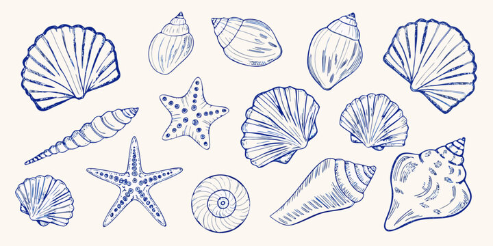 Collection of hand drawn blue line art seashells and starfish on a cream background