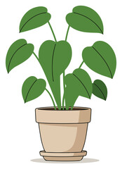 A simplified illustration of a potted plant with large, heart-shaped leaves, presented in a clean, minimalist style.