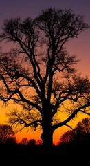 Sunset Silhouette: Ancient Watcher