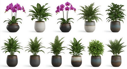 Hyperrealistic Indoor Plant Collection