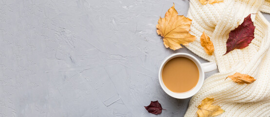 Cup of cocoa with autumn leaves abstract still life top view vith copy space