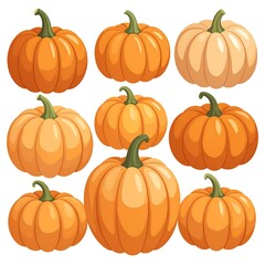 A collection of various pumpkins in a vibrant orange and peach color palette, displayed against a white background.