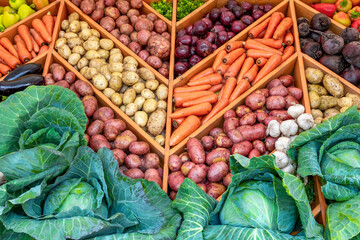 A showcase of a vegetable market featuring a wide variety of fresh vegetables.