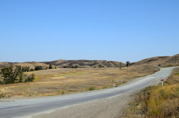 An asphalt road through the prairie with dry grass in the Autumn