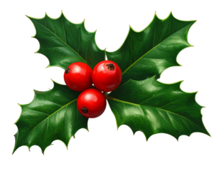 Classic Holly Berry Sprig with Green Leaves and Red Berries, 3D Render, Isolated