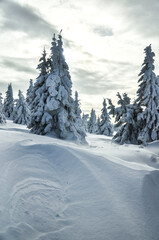 winter landscape in the mountains