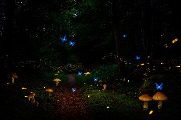 Magical Enchanted Forest Path Bathed in Ethereal Moonlight and Firefly Glow