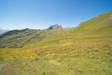 Landscape in Switzerland near Grindelwald in the Bernese Oberland. 