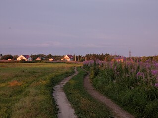 A tranquil and serene country road is surrounded by lush green fields