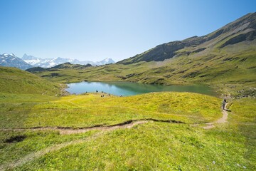 Naklejka premium Landscape in Switzerland near Grindelwald in the Bernese Oberland. 