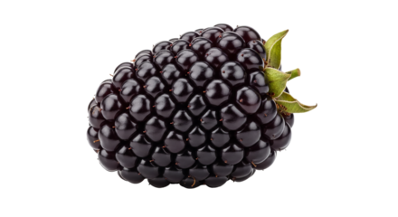 berry fruit displays its segmented structure with attached green sepals against a dark contrasting background.