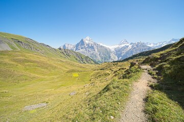 Naklejka premium Landscape in Switzerland near Grindelwald in the Bernese Oberland. 