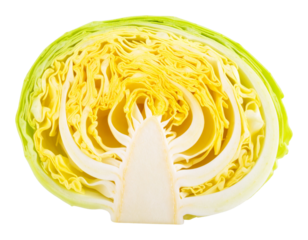 Yellow Cabbage with Leaves Spread Out, isolated on transparent background.