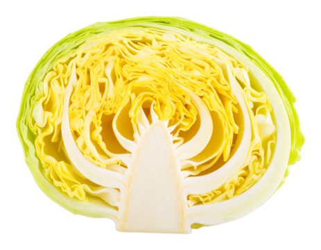 Yellow Cabbage with Leaves Spread Out, isolated on transparent background.