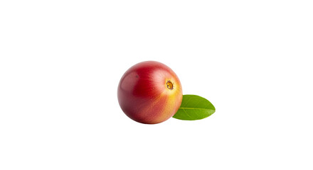 Coffee cherry exhibits a gradient red color and small green leaf is visible against background.