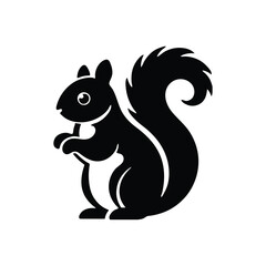 black and white squirrel