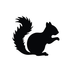 black and white squirrel