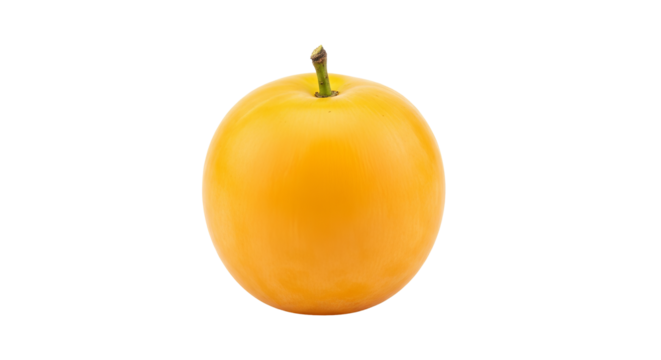 Golden plum presents a smooth, bright surface and short stem against a . - high quality Golden plum presents a smooth, bright surface and short stem a