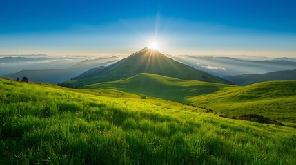 Sun shining over the green mountain range with a lush meadow in the foreground under a blue sky