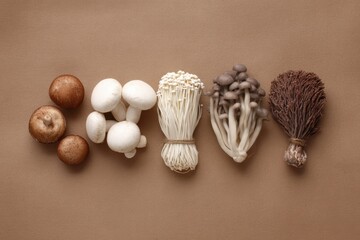 Mushroom Composition Across the Width: Button Mushrooms, Enoki, Oyster, and Shiitake Mushrooms - Variety of Edible Fungi.