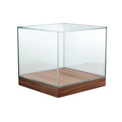 Clear Glass Cube on Wooden Base