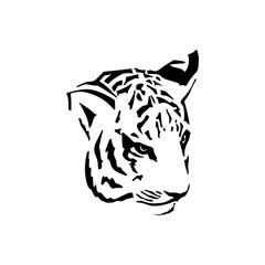 tiger design with white background
