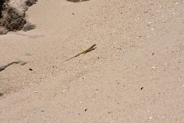 pedra furada - jeriquaquara