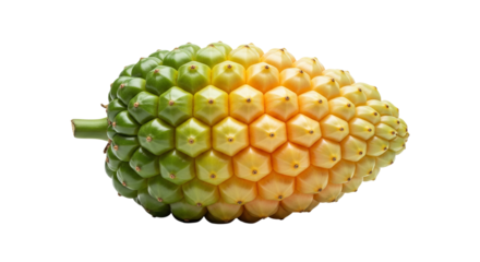 Monstera fruit displays a hexagonal pattern with green and yellow coloration against a dark setting.