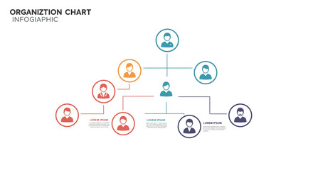 Simple and clean organization chart infographic with hierarchical structure design