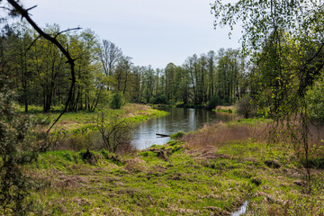 Liwiec River near Starowola village in Gmina Jadow, Masovian Voivodeship of Poland