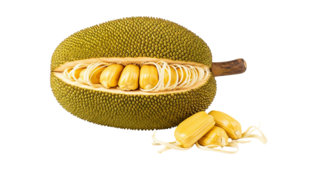 Opened jackfruit is displaying its yellow bulbs and fibrous core, with additional bulbs shown outside the fruit.