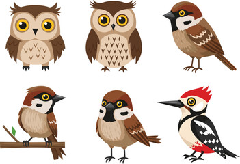Cartoon birds, owls, sparrows, woodpecker vector set, colorful feathered characters, educational wildlife illustration, cad drawing flat vector, stock image