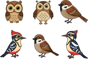 Cartoon owls, sparrows, and woodpeckers, bird vector illustration, colorful feathered characters, educational wildlife set, cad drawing flat vector art