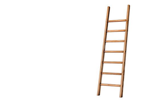 ladder isolated on white background career growth concept