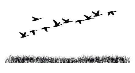 a flock of birds flying over grassy field in formation
