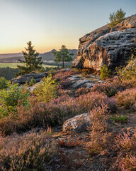 Heather Garden - Heidegarten