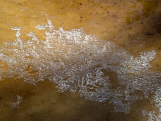 Beautiful and intricate ice patterns created on a brown surface
