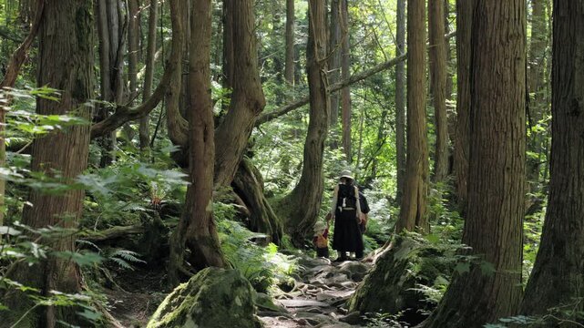 Winding Path where the Roots of Coniferous Trees in the Virgin Forest Creep above the Ground  |  Tateshina Virgin Forest, Nagano, Japan