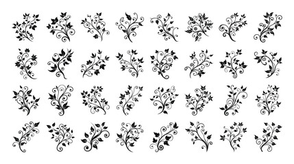 Collection of Black and White Floral Vine Vector Illustrations for Design