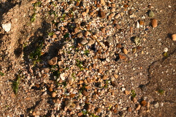 Close-up shot of a seaside: small pebbles and sand on the shore. Peaceful summer atmosphere of relaxation and coastal nature.