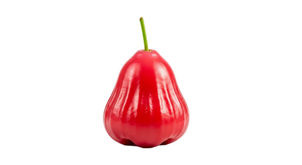Rose apple stands centered on a isolated background showing off its smooth, shiny skin and green stem.