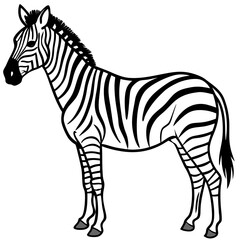 Minimal Zebra Vector Illustration