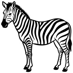 Minimal Zebra Vector Illustration
