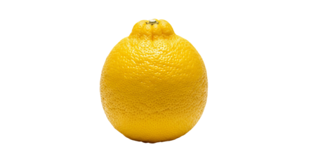 Suntan orange is displayed centrally, exhibiting its bumpy rind texture and round form.