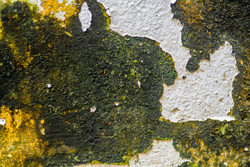 Dark, rough texture with white peeling sections and green patches.
