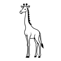 Fototapeta premium Giraffe cartoon isolated on white
