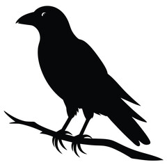 Black silhouette of a crow perched on a branch raven