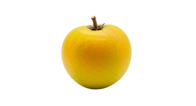 Yellow apple sits centered in the frame with a short brown stem and an entirely isolated background.