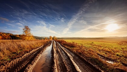 Naklejka premium muddy tracks through autumn field